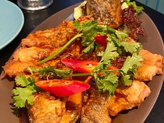 -URBAN SOI Thai Kitchen乐泰料理(长乐路店)
