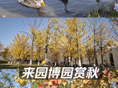 -武汉园博园(武汉自然博物馆)