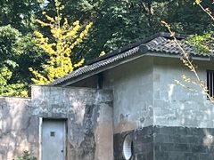 -中国大熊猫保护研究中心雅安碧峰峡基地