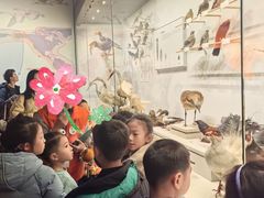 -四川大学博物馆