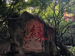 -杭州黄龙洞