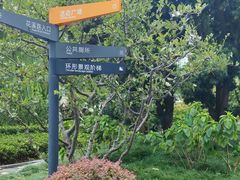 -兰溪青年公园