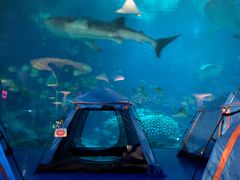 -长隆海洋王国-海洋大街餐厅