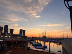 -东港音乐喷泉广场