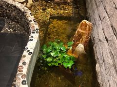 -马路边边串串香(双井直营店)