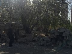 -迎泽公园