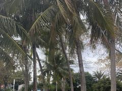 -深圳湾公园(南山区)
