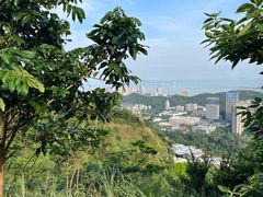 -板樟山森林公园