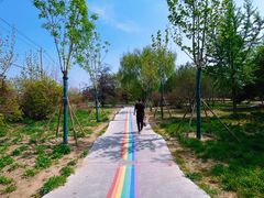 -太阳宫公园