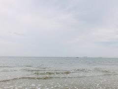 -北海金海湾红树林生态旅游区