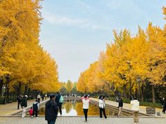 -玲珑塔公园