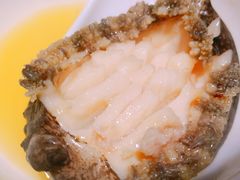 六头鲍鱼-捞围鲜·港式打边炉(海阳路店)