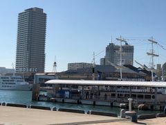 -神户港