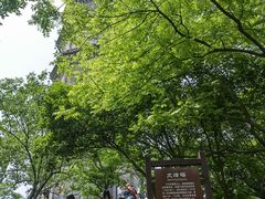 -巢湖姥山岛