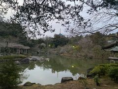 -成田山新胜寺