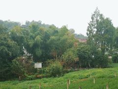 -野蔓果·山野菜(西湖景区·龙井茶田店)