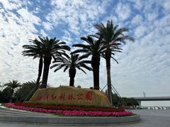 -宝安西湾红树林湿地公园