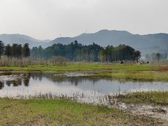 -四明湖