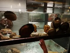 -甄御•海鲜新青岛菜(麦岛店)