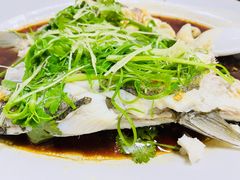 清蒸活鱼-荣兴河鲜楼