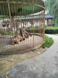 -宝馨月月子中心(友谊医院店)
