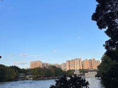-荔湾湖公园