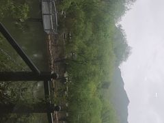 -天源渔港农庄