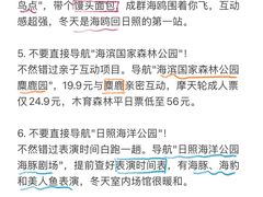 -日照海滨国家森林公园