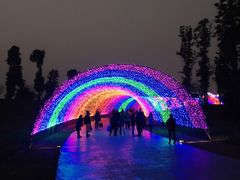 -秀丽东方