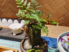 -酸喜·三度酸·贵州味