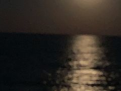 -日照世帆赛基地