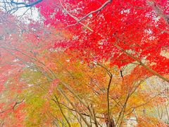 -崂山巨峰游览区