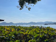 -湖畔居茶楼(湖滨店)