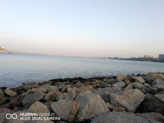 -宝安西湾红树林湿地公园