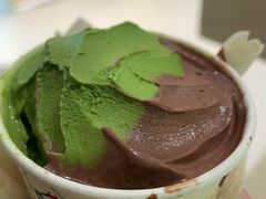 甜抹拼巧克力-鹤茶野所(上海首店)
