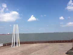 -上海滨江森林公园