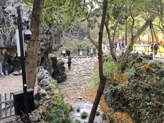 -杭州植物园