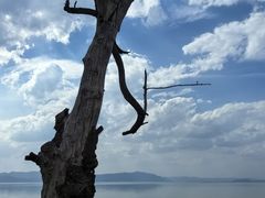 -捞渔河湿地公园