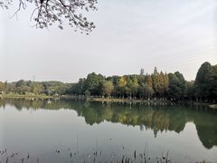 -新洲生态园