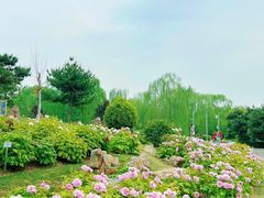 -郑州植物园