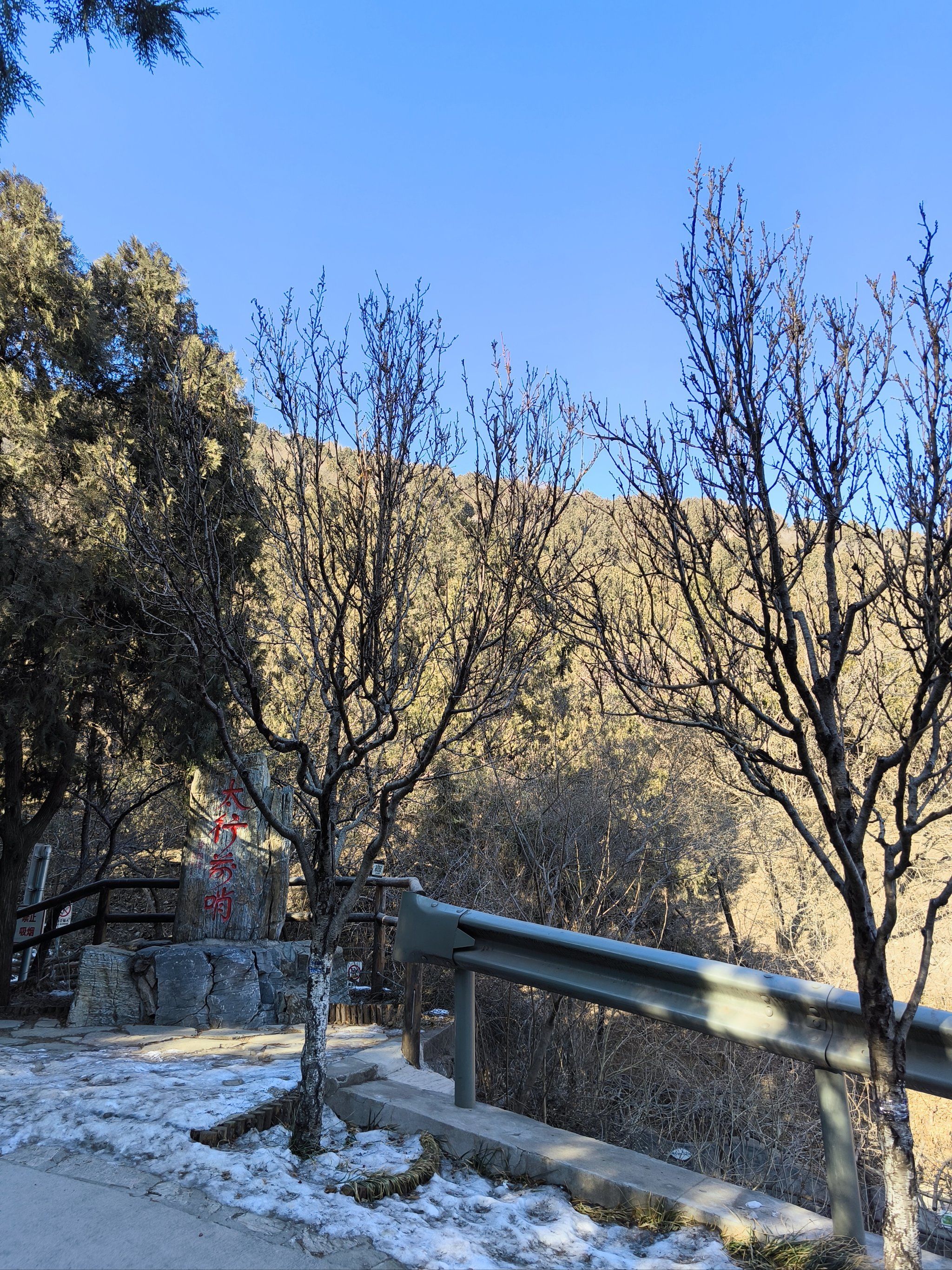 百望山森林公园