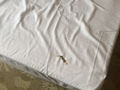 -好望角大饭店(肇嘉浜路店)