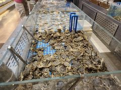 -半岛听涛蒸汽海鲜自助(K11店)