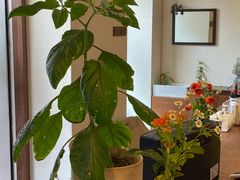 -Al Salam莫的三明治