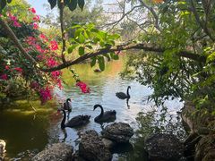 -海南热带野生动植物园