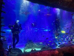 -沈阳海洋探索中心