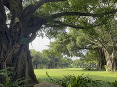 -南宁南湖公园