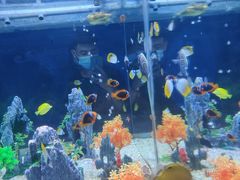 -烟台海昌鲸鲨海洋公园