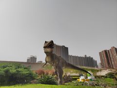 -陕西自然博物馆