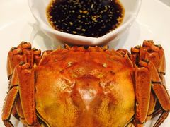 清蒸大闸蟹-新花城蟹粉馆(乌鲁木齐店)